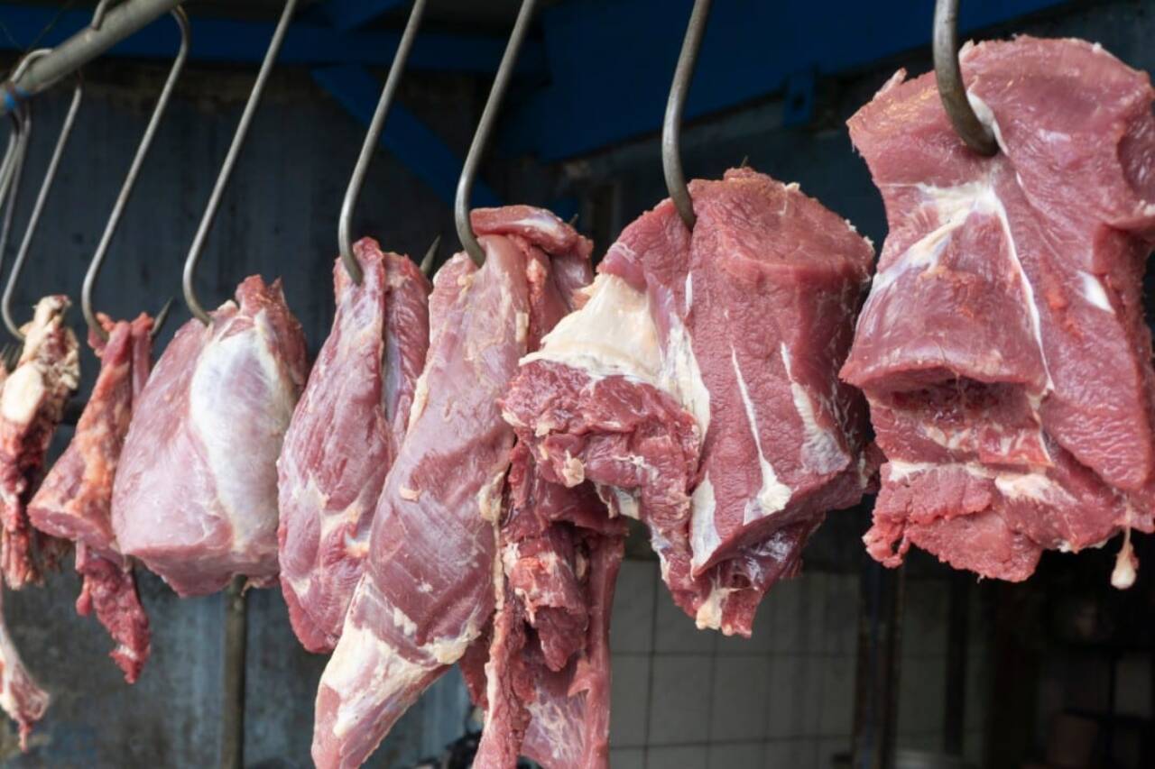 Carne Açougue
