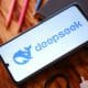 DeepSeek