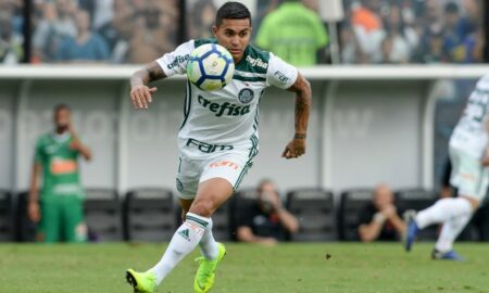 Dudu Palmeiras