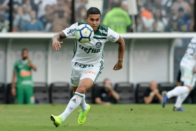 Dudu Palmeiras