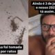 Eliezer fala sobre infestação de ratos
