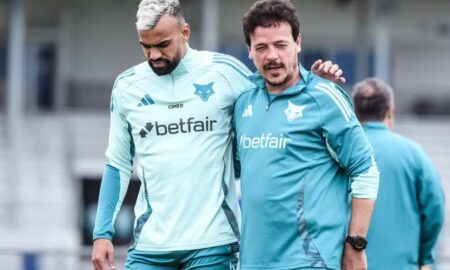 Fabrício Bruno e Fernando Diniz Cruzeiro