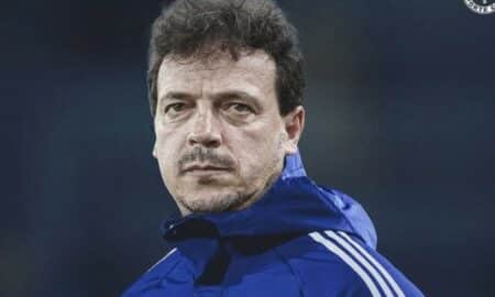 Fernando Diniz
