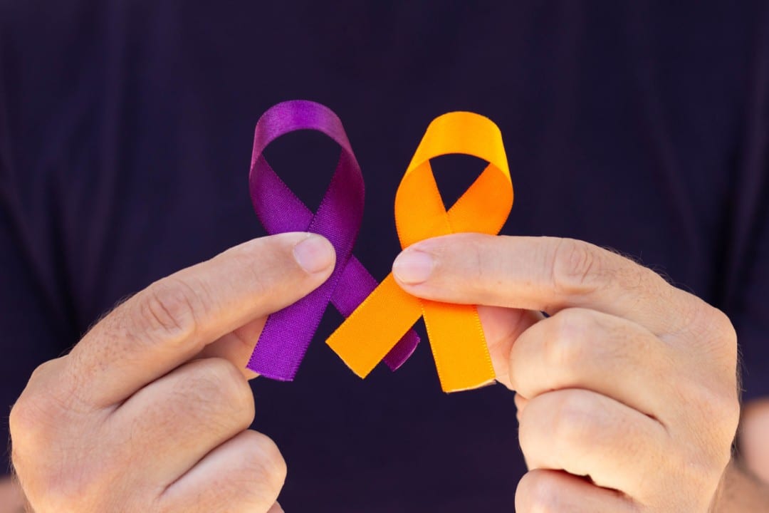 Fevereiro Roxo e Laranja