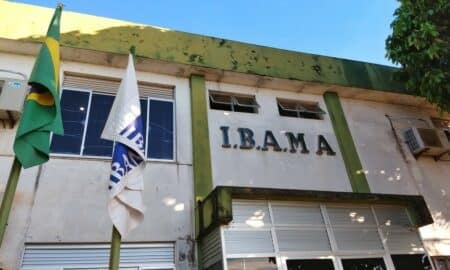 Ibama