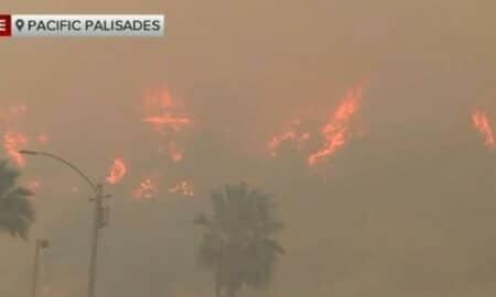 Incêndio Palisades EUA