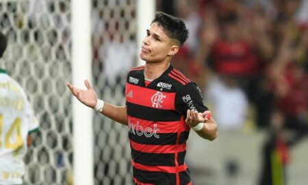 Luiz Araujo Flamengo
