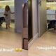 Maria Flor