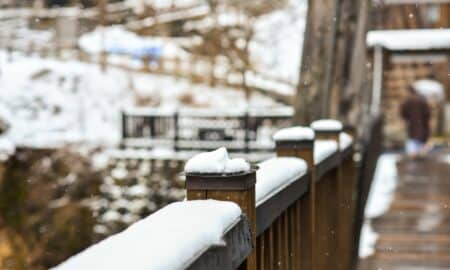 Neve