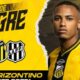 Novorizontino x Ponte Preta