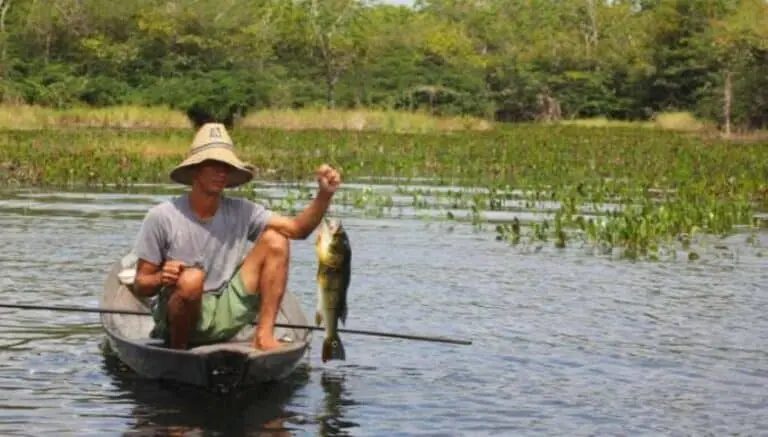 Pescador em rio em Prainha, no Pará