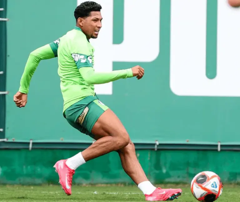 Rony Palmeiras