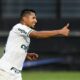 Rony Palmeiras