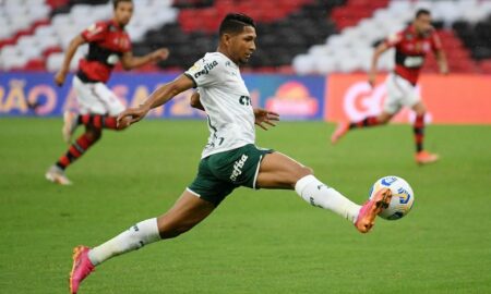 Rony Palmeiras
