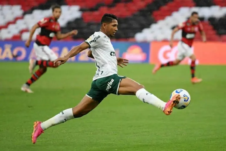Rony Palmeiras