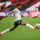 Rony Palmeiras