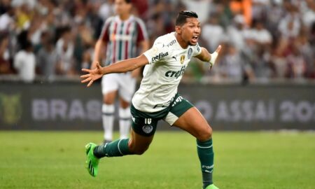 Rony Palmeiras