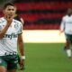 Rony Palmeiras