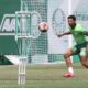 Rony do Palmeiras