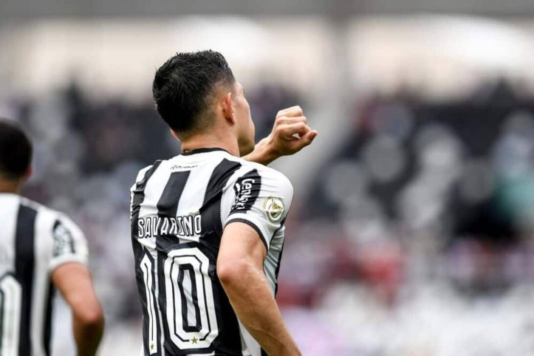 Savarino Botafogo