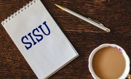 Sisu