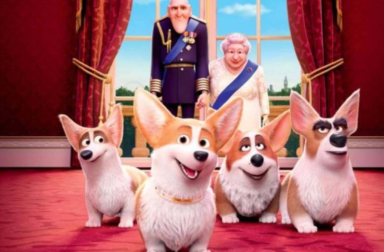 Top Dog estreia na Sessão da Tarde de hoje (15) com aventura emocionante e lições sobre amizade