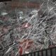 Torcida do Vasco