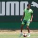 Vitor Reis Palmeiras