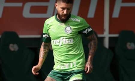 Zé Rafael Palmeiras