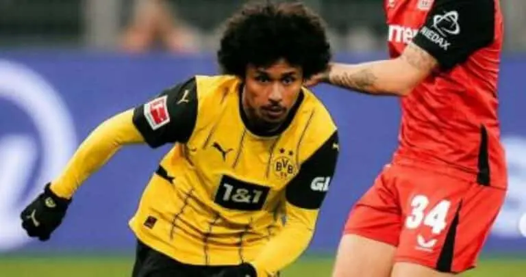 bvb