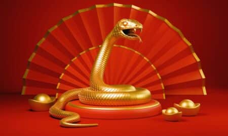 Ano novo chinês