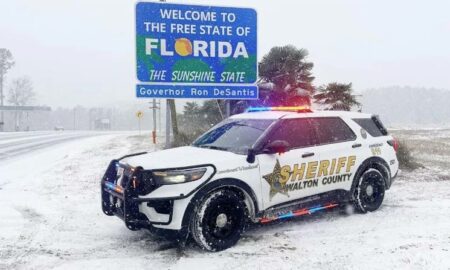 florida neve