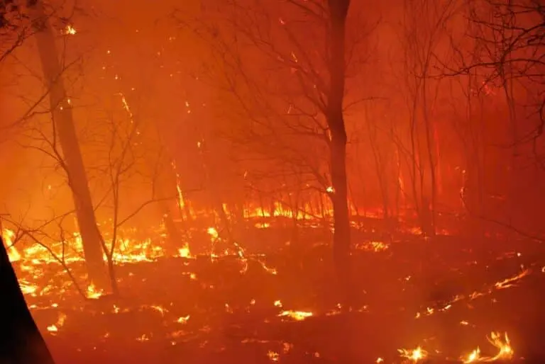 incêndio