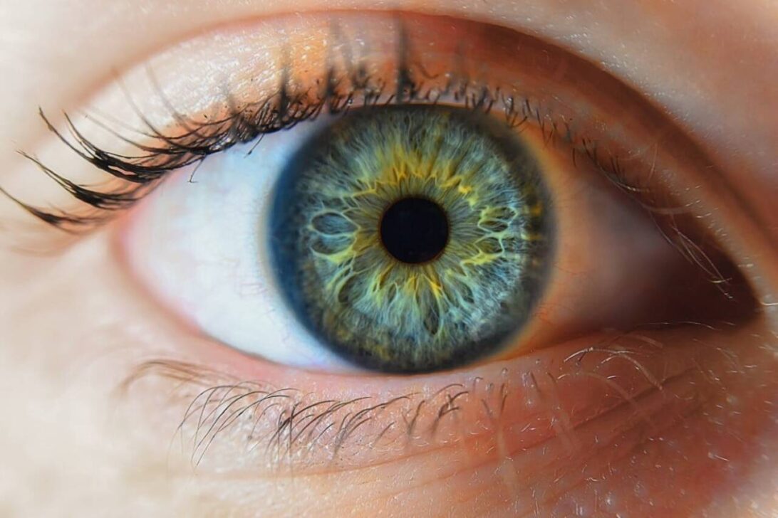 Iris olho olhar