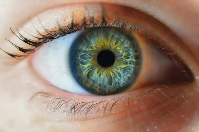 Iris olho olhar