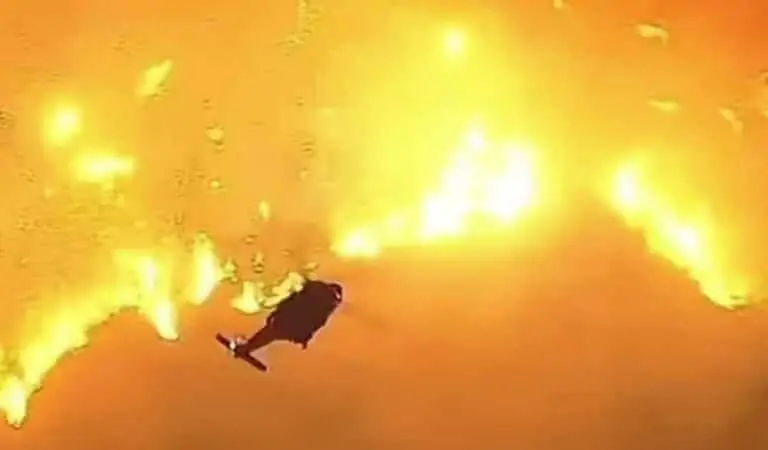 reprodução abc 7