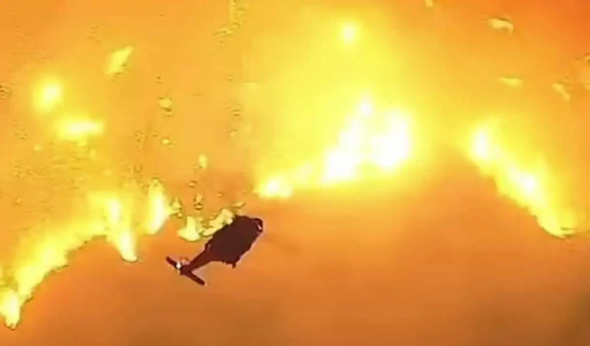 reprodução abc 7