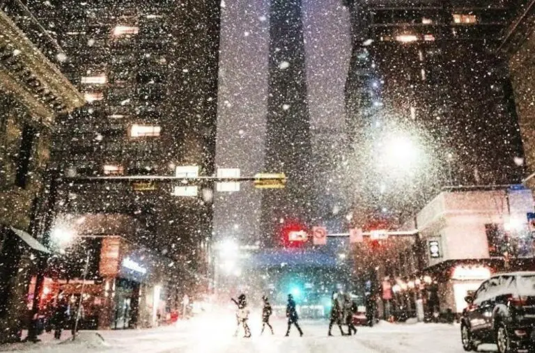 texas neve 2025