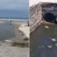 Vazamento de esgoto na Praia da Enseada, em Guarujá (SP) — Foto: Reprodução/TV Tribuna