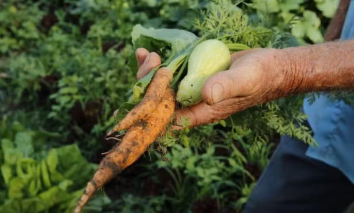 Agricultura Agro