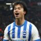 Brighton FC