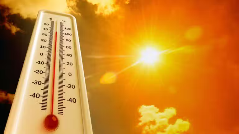 Calor temperatura