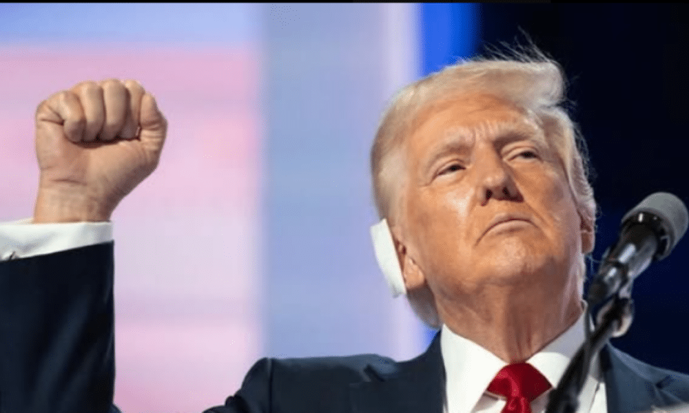Trump pushes English as official language: see plans to unify the US