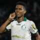 Estevão Palmeiras