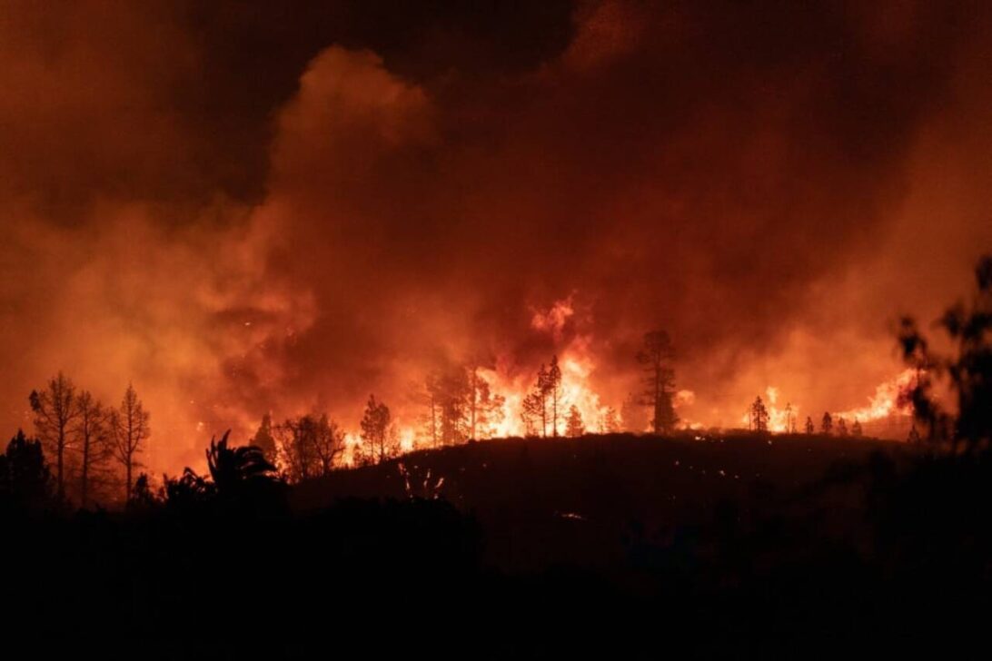 Incêndio Florestal