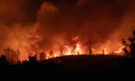 Incêndio Florestal
