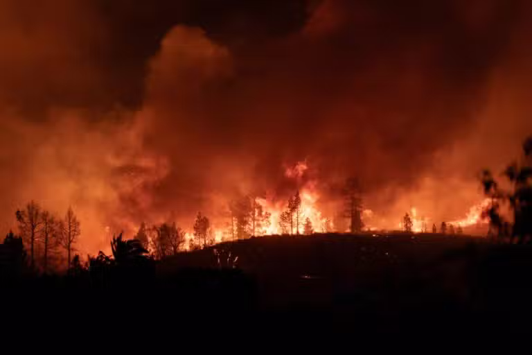 Incêndio Florestal
