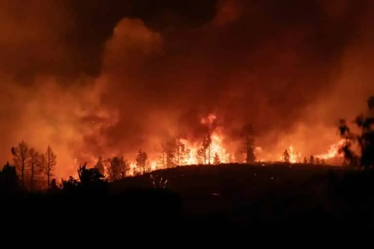Incêndio Florestal