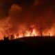 Incêndio Florestal