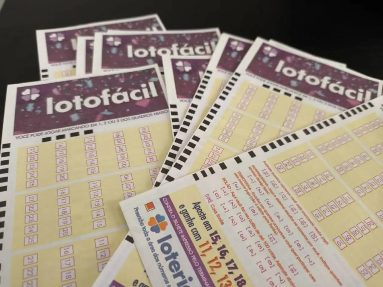 Lotofácil
